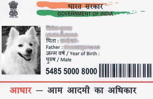 dogadhar 2